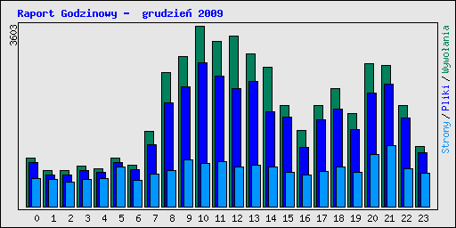 Raport Godzinowy -  grudzie 2009