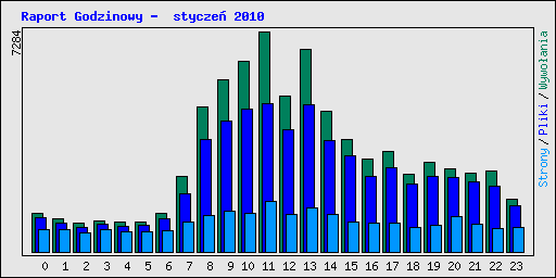Raport Godzinowy -  stycze 2010