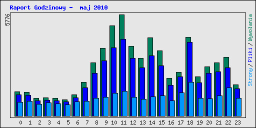 Raport Godzinowy -  maj 2010