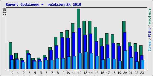 Raport Godzinowy -  padziernik 2010