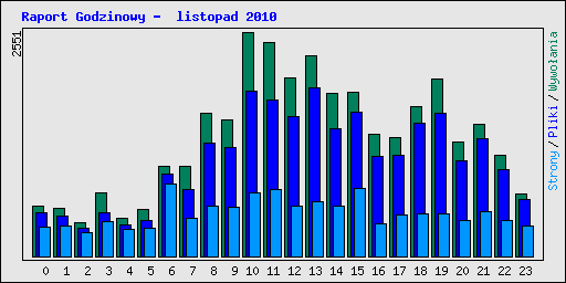 Raport Godzinowy -  listopad 2010